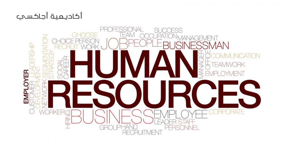 إدارة الموارد البشرية الإلكترونية